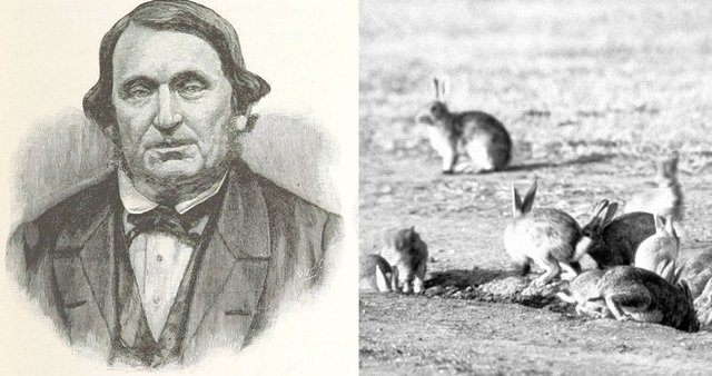 Thomas Austin, người được cho là đã nhập khẩu thỏ Oryctolagus cuniculus vào Châu Úc và gây ra nạn dịch thỏ.