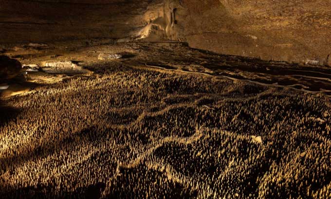 Cấu trúc "100.000 binh sĩ" trong hang động Trabuc là bí ẩn địa chất chưa có lời giải. (Ảnh: David PAGIS/ Wikimedia Commons).