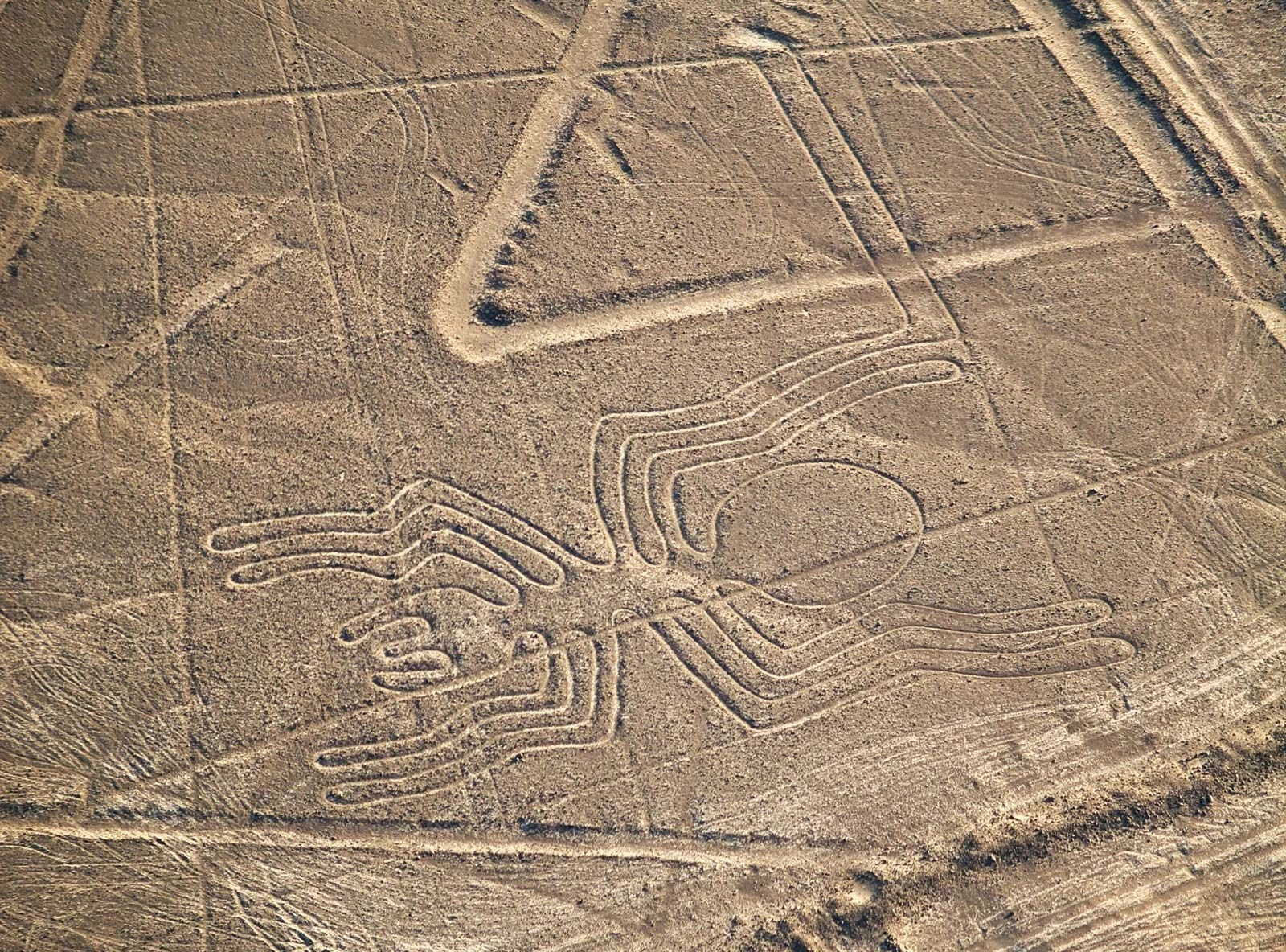 Khu vực khảo cổ Nazca Lines tại Peru - Ảnh: Britannica